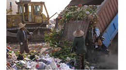 生活垃圾给人类的健康带来了哪些危害？你知道吗？