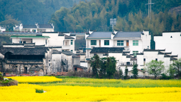 宜居乡村
