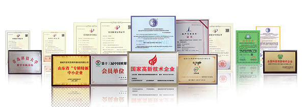 项目类用