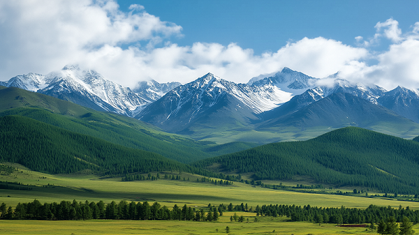 花瓣素材_常规内容-风光系列写实感蓝天广阔草原远处雪山图片_194443356