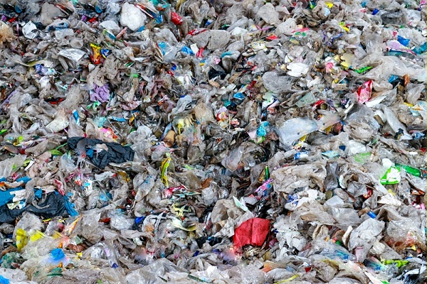 微信图片_20250909101251_123_184